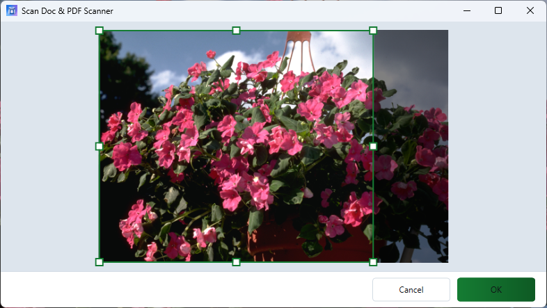 Crop window