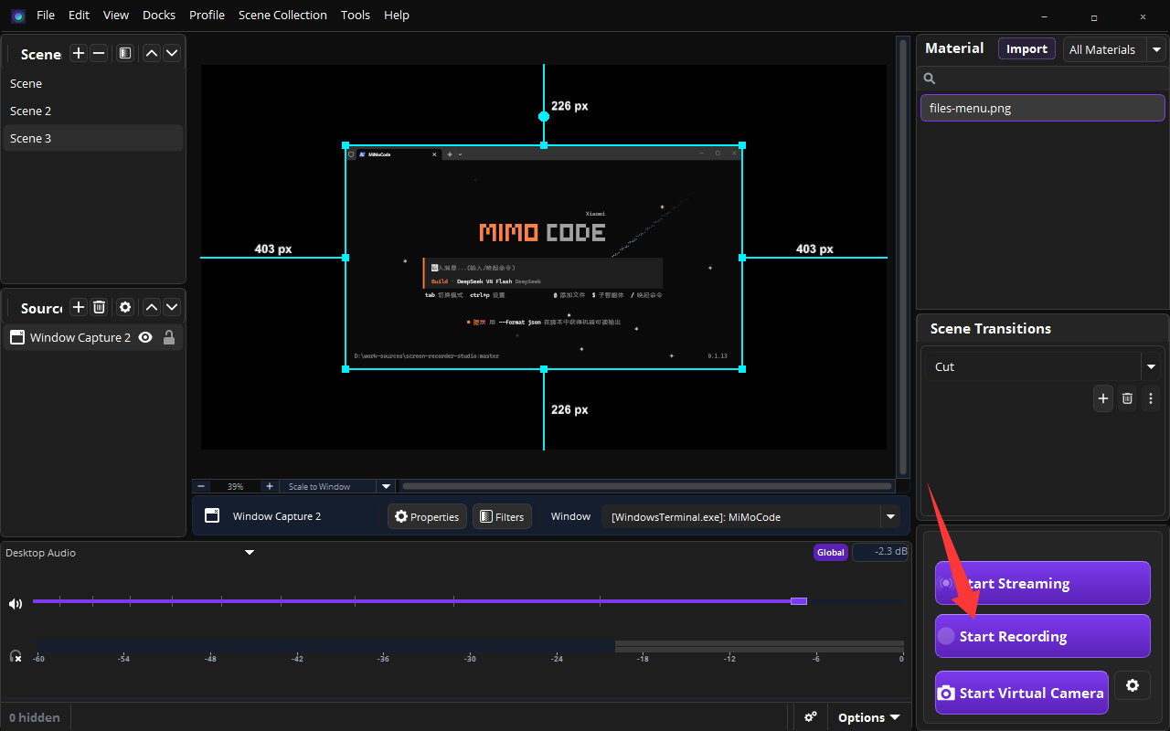 Start Recording Button